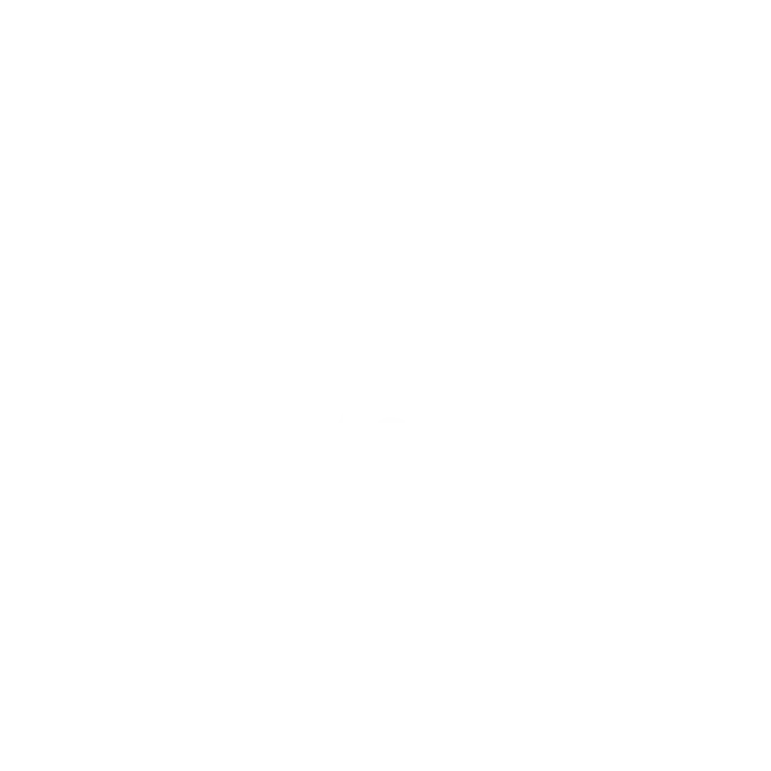 100 2.8 V6