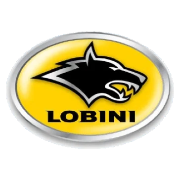 Tabela FIPE LOBINI