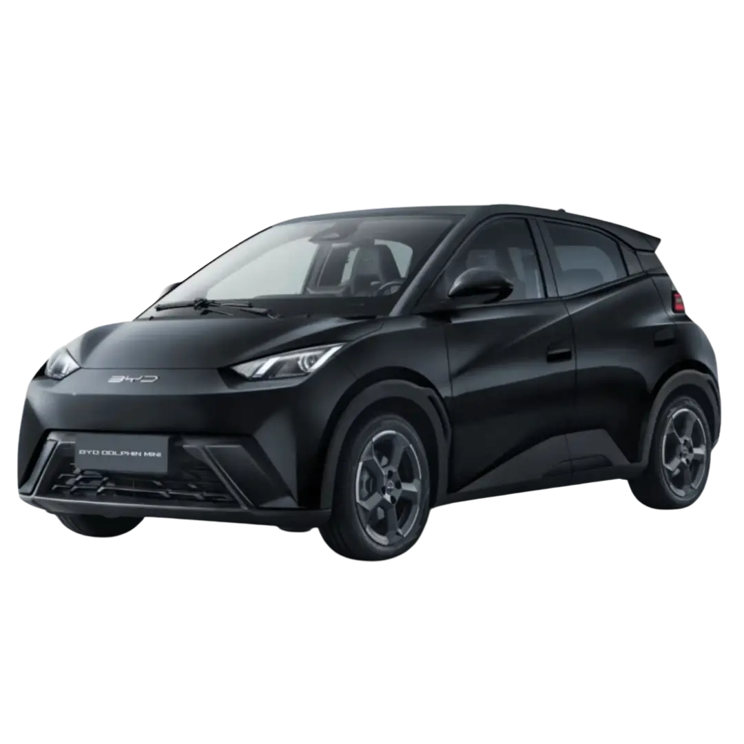 Carro Elétrico